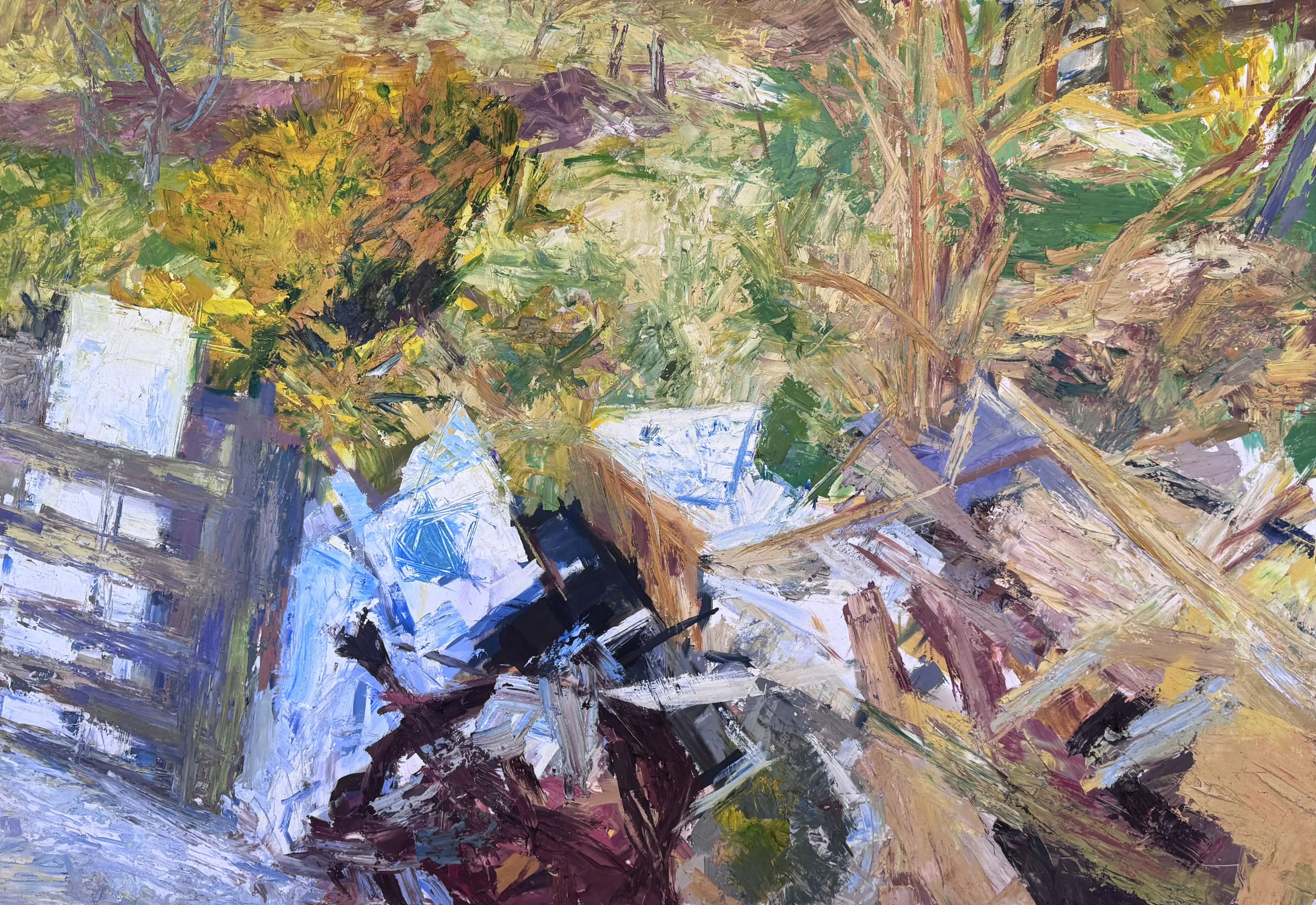 Gorse Bush and Rubbish